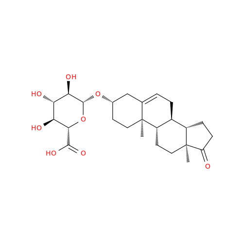 Dehydroepiandrosterone Glucuronide