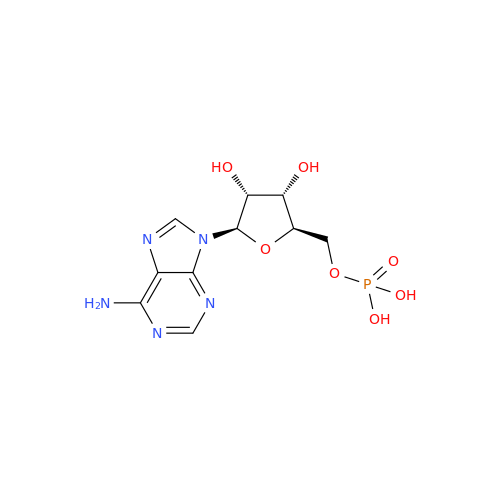 Adenosine 5''-Monophosphate