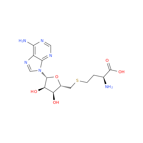 S-Adenosyl-L-homocysteine