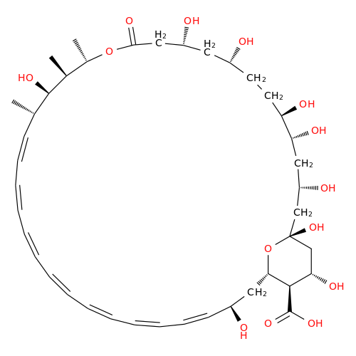 Amphoteronolide B