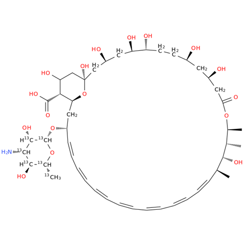 Amphotericin B-13C6