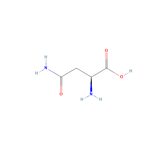 Asparagine