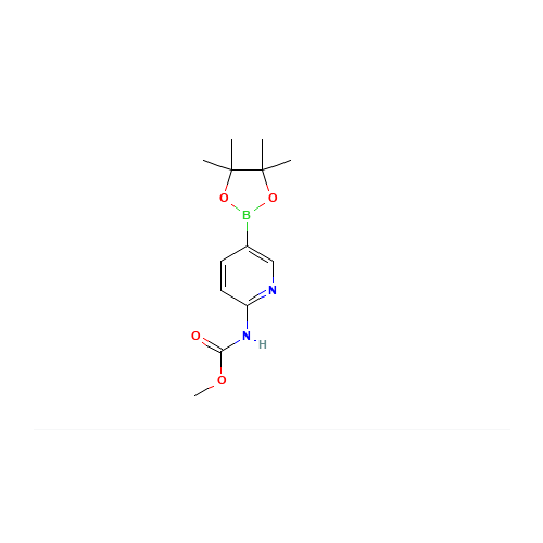 2-methoxycarbonylaminopyridine-5-boronic acid pinacol ester