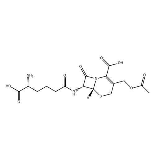 Cephalosporin C