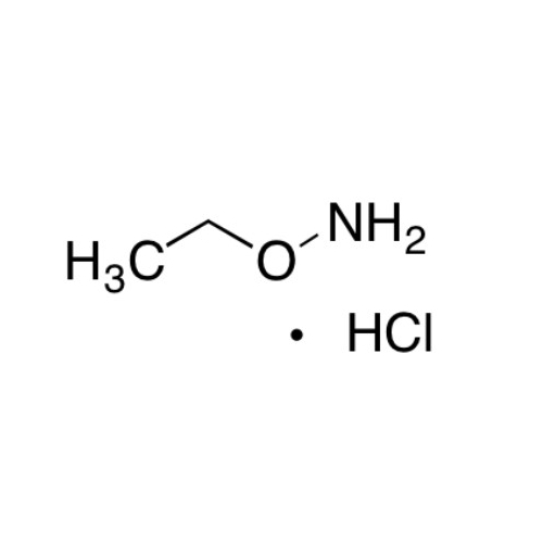 O-Ethylhydroxylamine hydrochloride