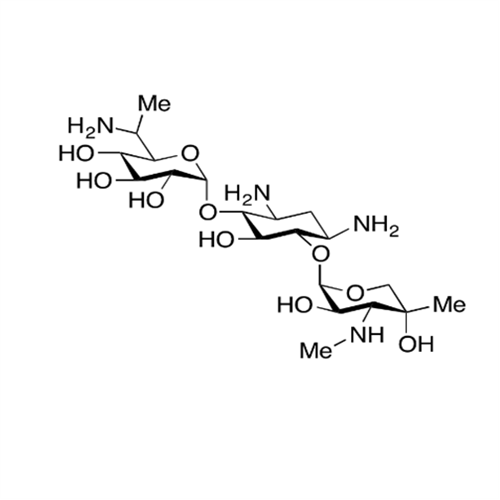 Gentamicin B1 Acetate Salt