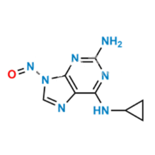 Abacavir Nitroso Impurity 2